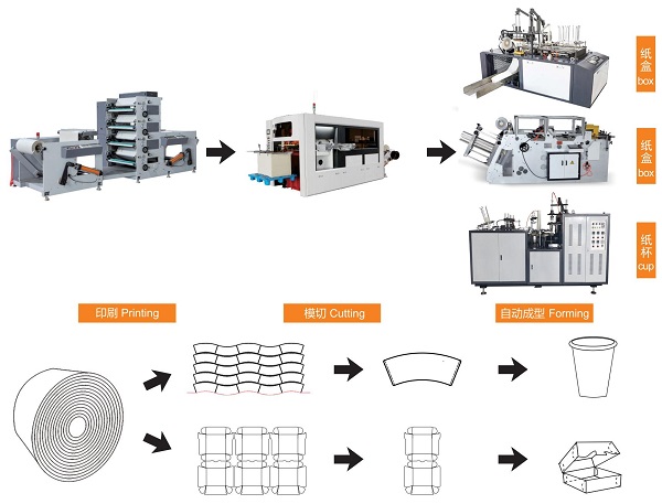 paper cup making process